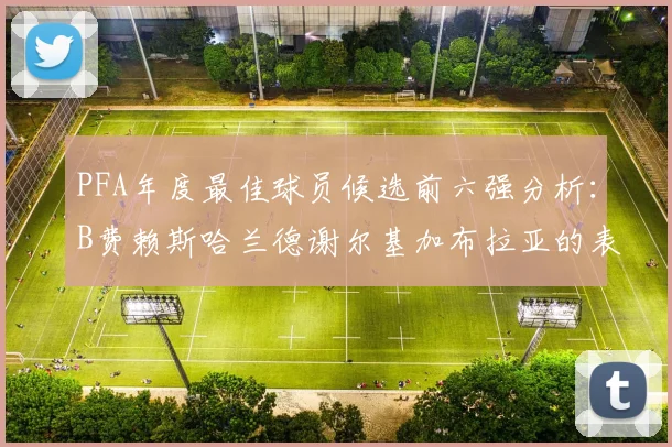 PFA年度最佳球员候选前六强分析：B费赖斯哈兰德谢尔基加布拉亚的表现对比
